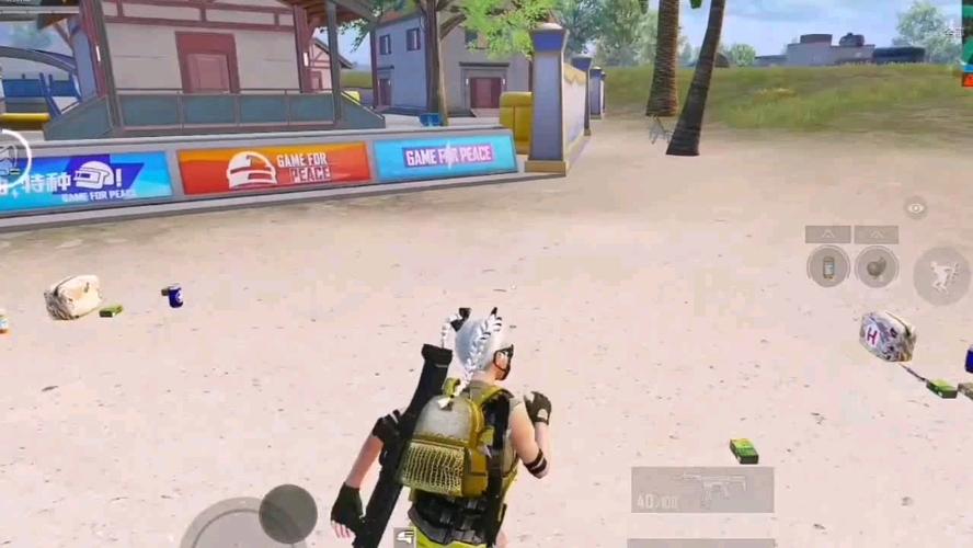 和平精英辅助：游戏公平性与技术挑战